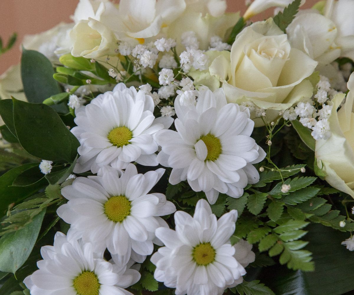 white flowers